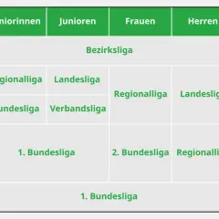 Übersicht der Ligen für Juniorinnen, Junioren, Frauen und Herren. Die DFB-Finanzen sind hier nicht direkt ersichtlich, aber die Ligenstruktur ist klar.