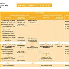 Das Schaubild zeigt das Qualifizierungssystem im Sport. Es listet verschiedene DOSB-Lizenzstufen auf, wie z.B. die des vereinsmanager b lizenz.