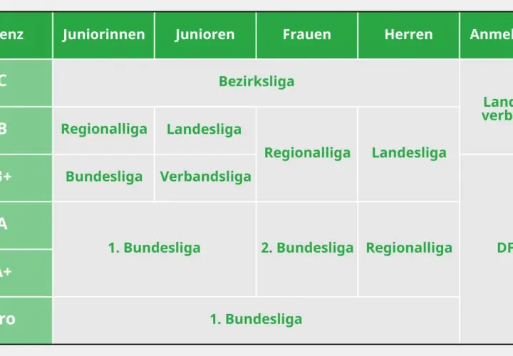 Übersicht der Ligen für Juniorinnen, Junioren, Frauen und Herren. Die DFB-Finanzen sind hier nicht direkt ersichtlich, aber die Ligenstruktur ist klar.