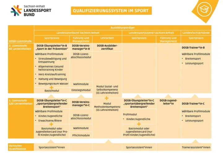 Das Schaubild zeigt das Qualifizierungssystem im Sport. Es listet verschiedene DOSB-Lizenzstufen auf, wie z.B. die des vereinsmanager b lizenz.