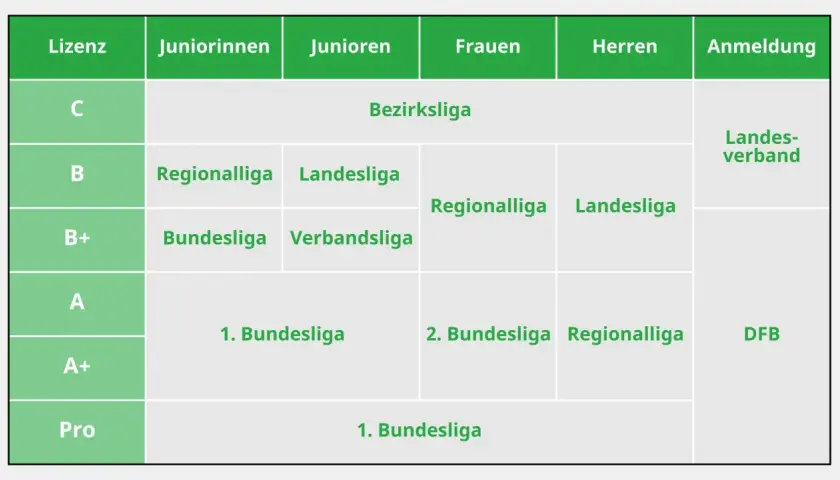 Übersicht der Ligen für Juniorinnen, Junioren, Frauen und Herren. Die DFB-Finanzen sind hier nicht direkt ersichtlich, aber die Ligenstruktur ist klar.