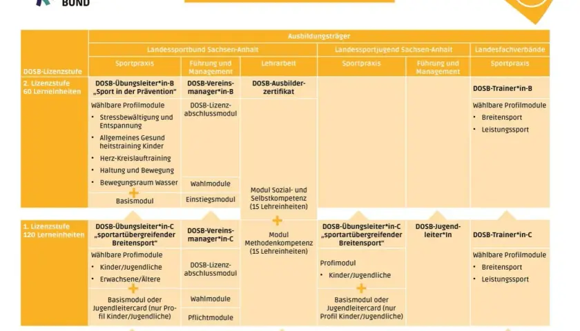 Das Schaubild zeigt das Qualifizierungssystem im Sport. Es listet verschiedene DOSB-Lizenzstufen auf, wie z.B. die des vereinsmanager b lizenz.