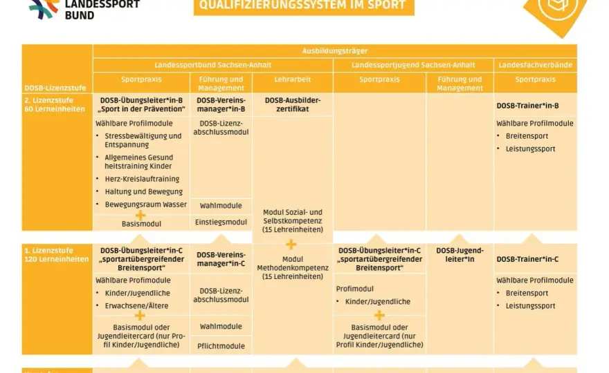 Vereinsmanager-B-Lizenz - Dein Weg zur Vereinsführung?