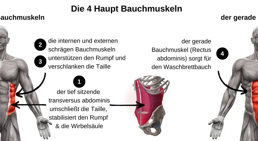 Seitliche Bauchmuskulatur im Fußball - Mehr als nur Optik