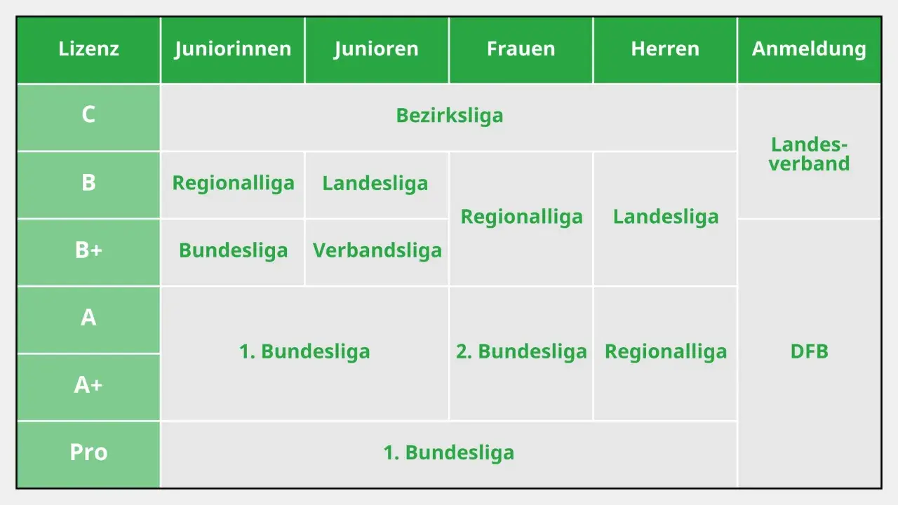 Übersicht der Ligen für Juniorinnen, Junioren, Frauen und Herren. Die DFB-Finanzen sind hier nicht direkt ersichtlich, aber die Ligenstruktur ist klar.