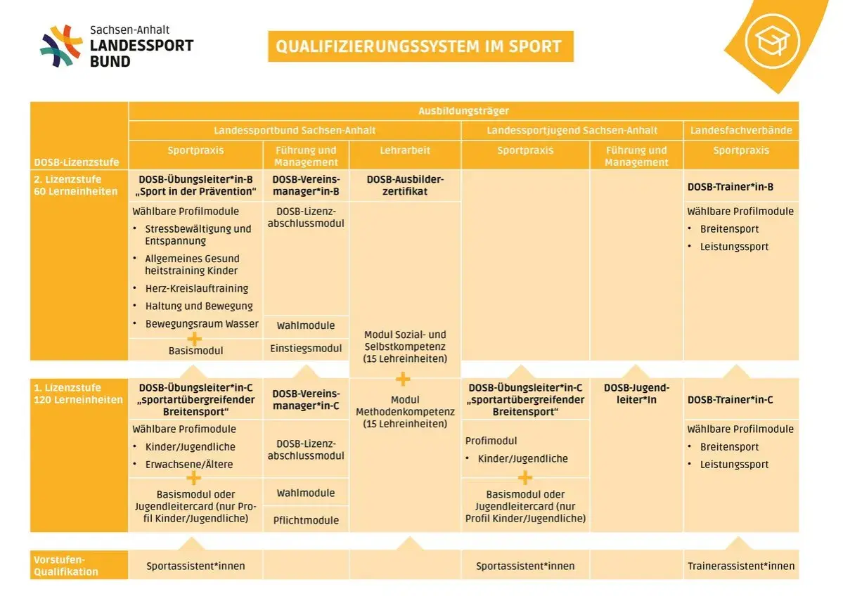 Das Schaubild zeigt das Qualifizierungssystem im Sport. Es listet verschiedene DOSB-Lizenzstufen auf, wie z.B. die des vereinsmanager b lizenz.