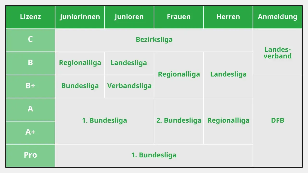 DFB Ligenübersicht: Lizenzen (C-Pro) korrespondieren mit Spielklassen für Juniorinnen, Junioren, Frauen und Herren. Die DFB Finanzen sind hier abgebildet.